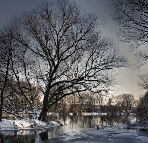 Winter river — Stock Photo, Image