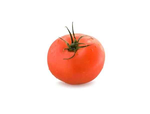 Mogen tomat isolerad på vit — Stockfoto