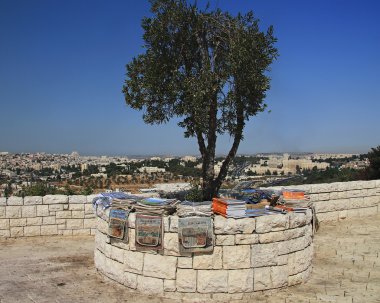 Mount of olives clipart