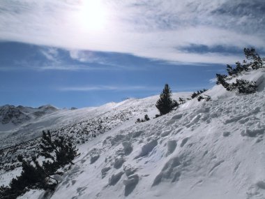 Rila mountains landscape in Borovets clipart