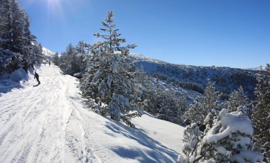 Snowboarding in Bulgaria. Borovets clipart
