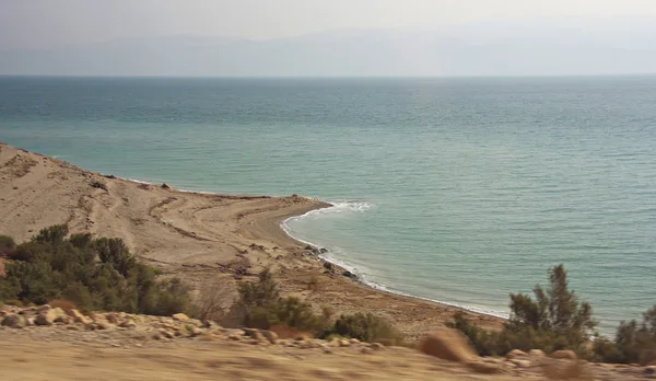 死海的海岸 — 图库照片