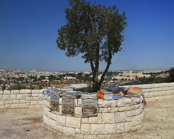 Mount of olives — Stock Photo, Image