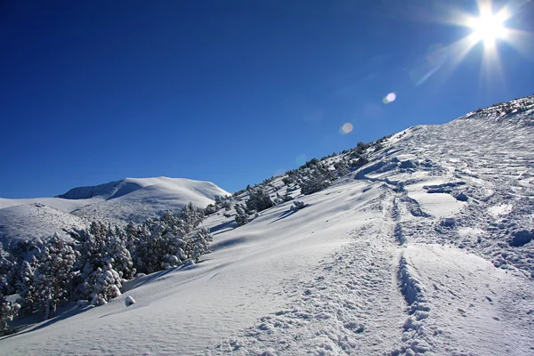 冬の山で輝く太陽 — Stock fotografie
