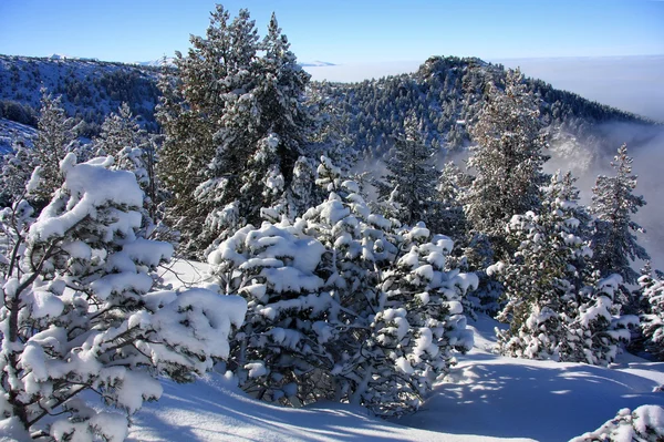 Zima śnieg krajobraz — Zdjęcie stockowe