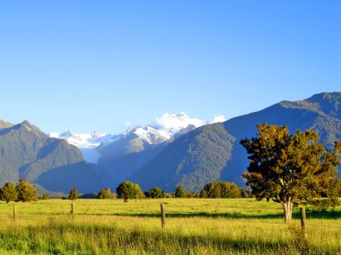 Mount Cook and Mount Tasman, NZ clipart