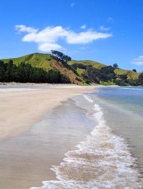 whangapoua beach, Yeni Zelanda