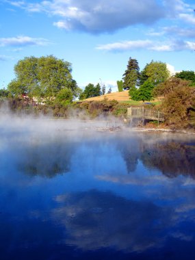 Geothermal Activity, New Zealand clipart