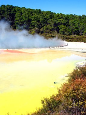 Bir jeotermal faaliyet tespit, Yeni Zelanda