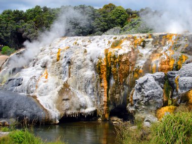 Pohutu Geyser, New Zealand clipart