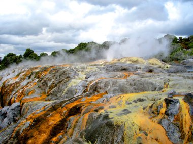 Pohutu Şofben, rotorua, Yeni Zelanda