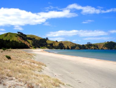 Whangapoua Beach, New Zealand clipart