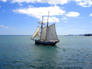 Tall Ship sailing in New Zealand clipart