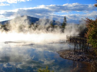 Geothermal activity, Kuirau Park, NZ clipart