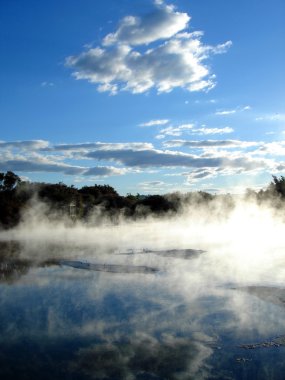 Geothermal activity, New Zealand clipart