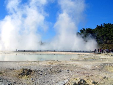 Waiotapu Thermal Reserve, New Zealand clipart