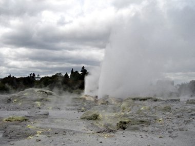 Pohutu Şofben, rotorua, Yeni Zelanda