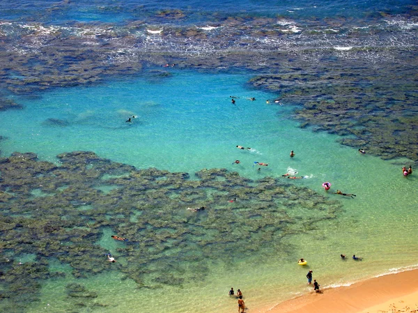 Vue aérienne de Snorkelers, Hawaï — Photo