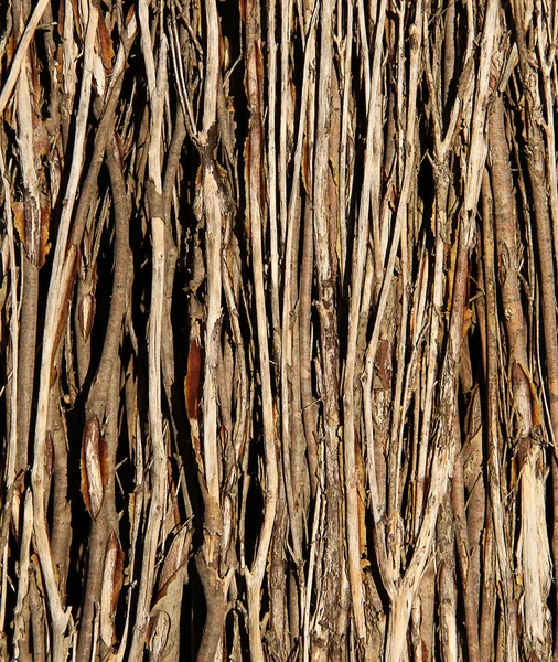 Sticks within a Brush Fence — Stock Photo, Image