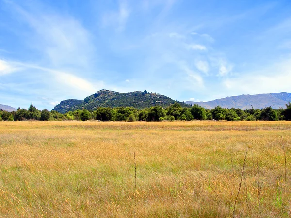 Field of Long Dry Grass & Mount Iron — Stock Photo, Image