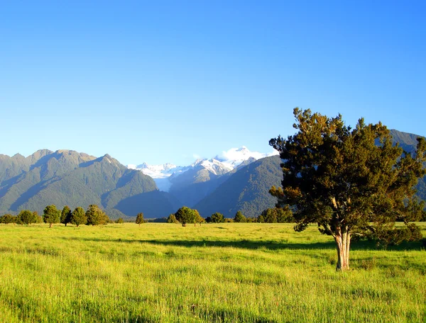Fältet innan Mt Cook & Mt Tasman — Stockfoto