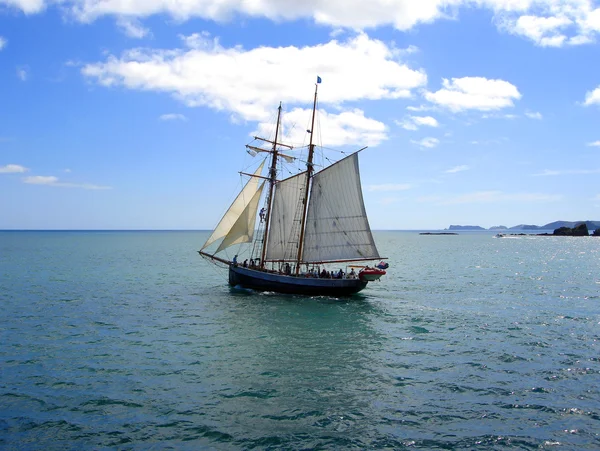 stock image Tall Ship sailing in New Zealand