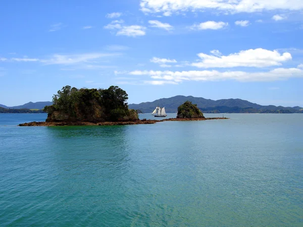 背の高い船の島、ニュージーランドの湾 — ストック写真