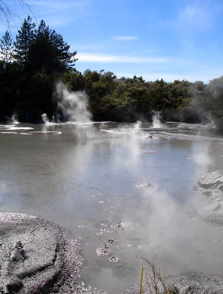 Геотермальна діяльності, Нової Зеландії — стокове фото