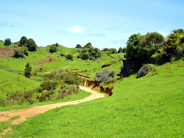 Feldweg durch grüne Hügel — Stockfoto