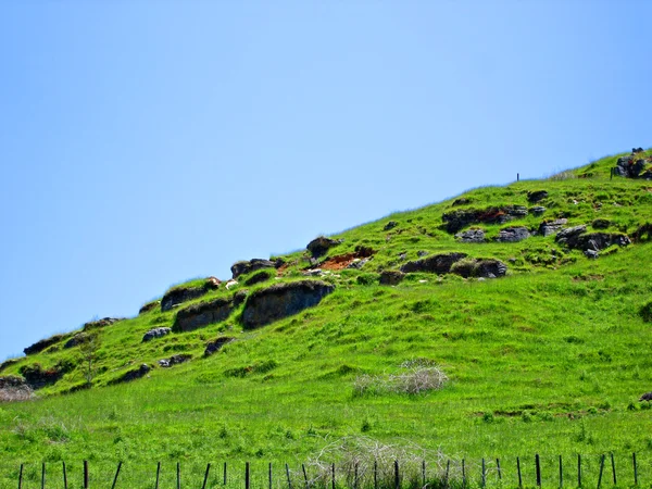 素朴な木製 fenceline 草が茂った丘 ストック写真