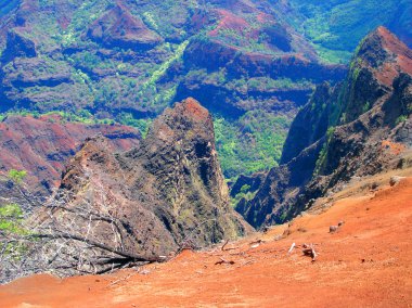 Waimea Canyon, Kauai, Hawaii clipart