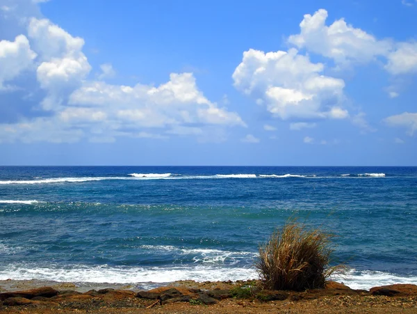 Ακτή kauai της Χαβάης — Φωτογραφία Αρχείου