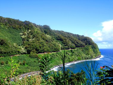 hana, maui için yol boyunca kıyı şeridi