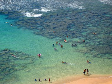 snorkellers, hawaii havadan görünümü