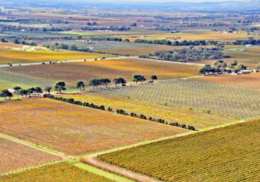 Aerial view of Agricultural Fields clipart