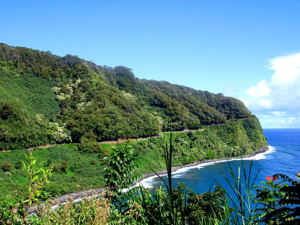 Береговая линия вдоль дороги в Хану, Мауи — стоковое фото