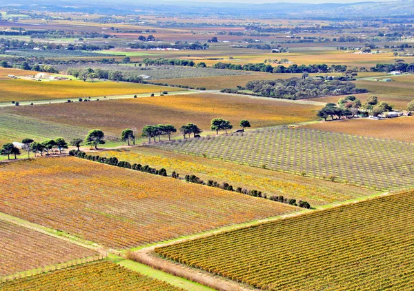 Вид с воздуха на сельскохозяйственные поля — стоковое фото