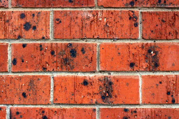 Kırmızı tuğla duvar siyah camlı — Stok fotoğraf