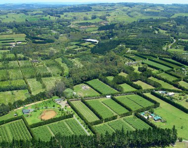 Aerial view of Vineyards and Farms clipart