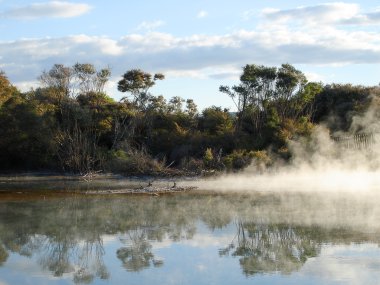 Geothermal Activity in Kuirau Park, NZ clipart