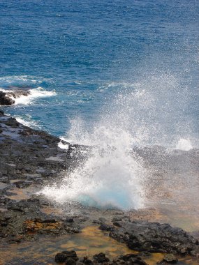 Spouting Horn Park Blowhole, Hawaii clipart