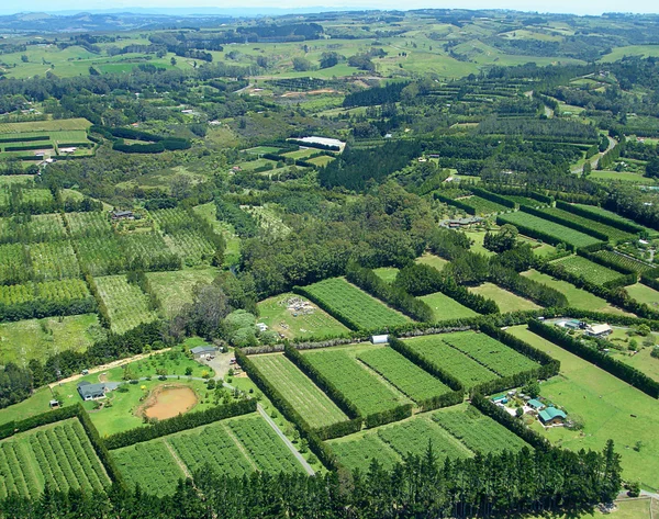 Вид с воздуха на виноградники и фермы — стоковое фото
