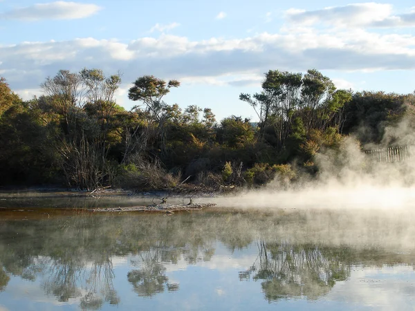 Геотермальная активность в парке Куйрау, Новая Зеландия — стоковое фото