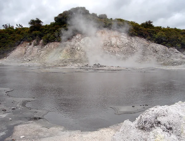 Геотермальна діяльності, Hells ворота, Нова Зеландія — стокове фото