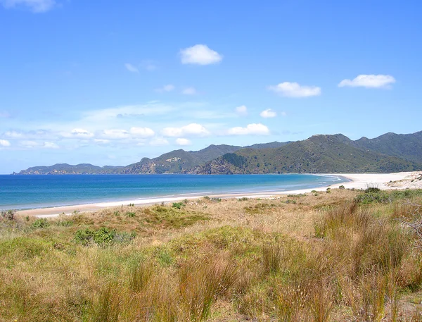 Whangapoua beach, Nový Zéland — Stock fotografie