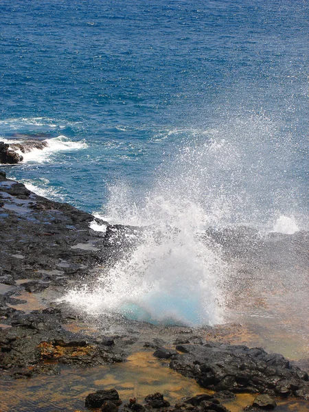Sprutande horn park blåshål, hawaii — Stockfoto
