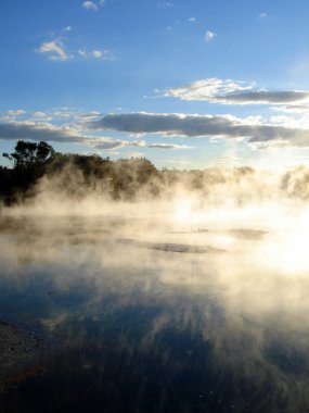 Geothermal Mists of Kuirau Park, NZ clipart