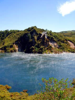 Jeotermal doğal baca, Yeni Zelanda