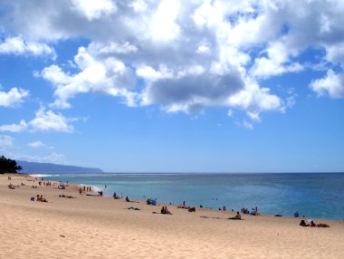 North Shore Beach, Oahu, Hawaii clipart