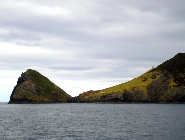 Latarni morskiej Cape brett, nz — Zdjęcie stockowe